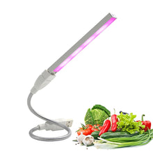 Load image into Gallery viewer, USB Led Plant Grow Light Full Spectrum 5V Fitolamp For Greenhouse Hydroponic Plant IR UV Garden Led Grow Lights Phyto Lamp Bulb
