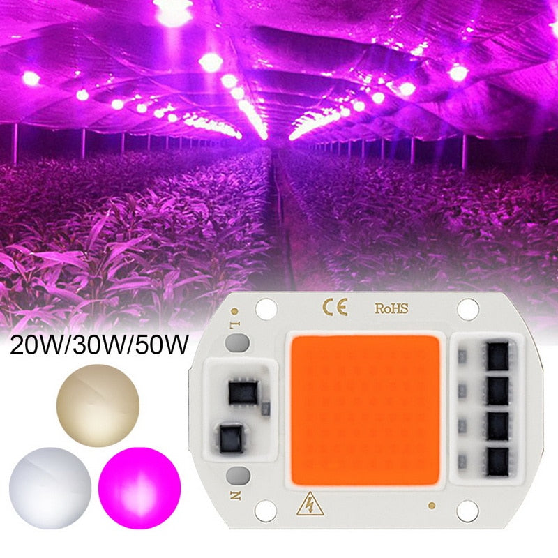 LED Grow COB Chip Phyto Lamp Full Spectrum AC220V 10W 20W 30W 50W For Indoor Plant Seedling Grow and Flower Growth Fitolamp